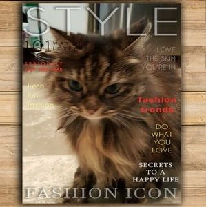 Meet your Posher, Darlene